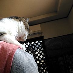 33位のイメージ