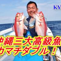 8位のイメージ