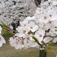 28位のイメージ