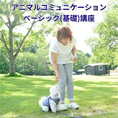 23位のイメージ
