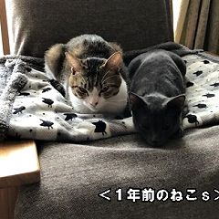 21位のイメージ