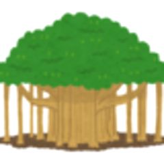 34位のイメージ